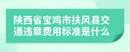 陕西省宝鸡市扶风县交通违章费用标准是什么