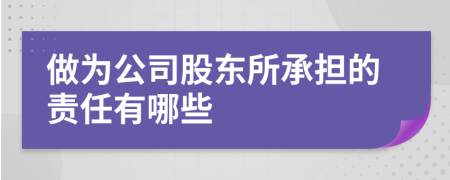 做为公司股东所承担的责任有哪些