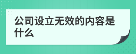 公司设立无效的内容是什么