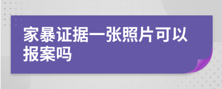 家暴证据一张照片可以报案吗