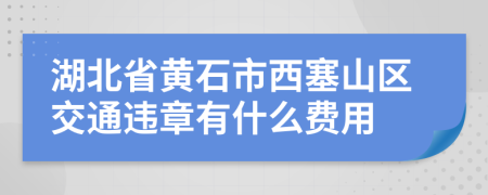 湖北省黄石市西塞山区交通违章有什么费用