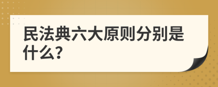 民法典六大原则分别是什么？