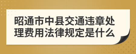 昭通市中县交通违章处理费用法律规定是什么