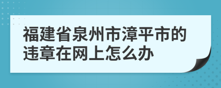 福建省泉州市漳平市的违章在网上怎么办