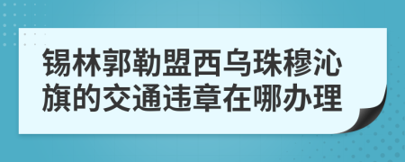 锡林郭勒盟西乌珠穆沁旗的交通违章在哪办理