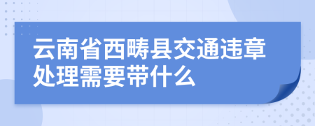 云南省西畴县交通违章处理需要带什么