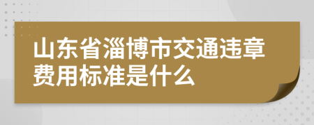 山东省淄博市交通违章费用标准是什么