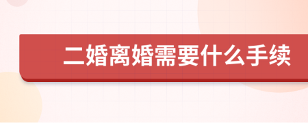 二婚离婚需要什么手续