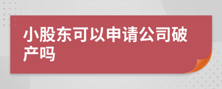 小股东可以申请公司破产吗