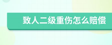 致人二级重伤怎么赔偿
