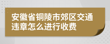 安徽省铜陵市郊区交通违章怎么进行收费