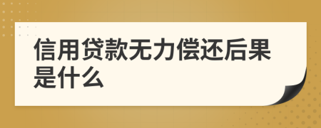 信用贷款无力偿还后果是什么