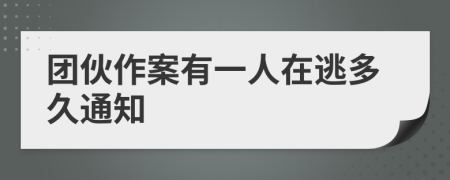 团伙作案有一人在逃多久通知