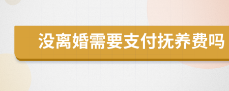 没离婚需要支付抚养费吗