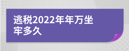 逃税2022年年万坐牢多久