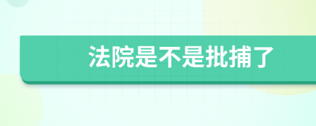 法院是不是批捕了
