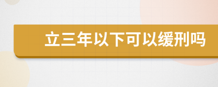 立三年以下可以缓刑吗