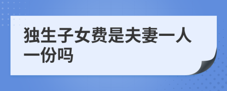 独生子女费是夫妻一人一份吗