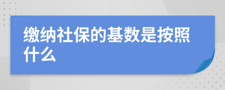 缴纳社保的基数是按照什么