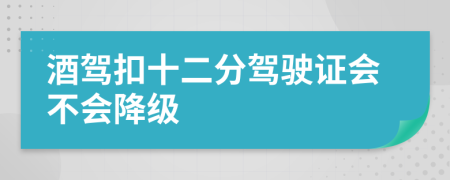 酒驾扣十二分驾驶证会不会降级