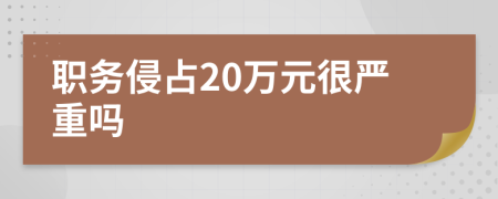 职务侵占20万元很严重吗