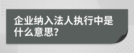 企业纳入法人执行中是什么意思？