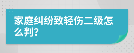 家庭纠纷致轻伤二级怎么判？