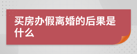 买房办假离婚的后果是什么