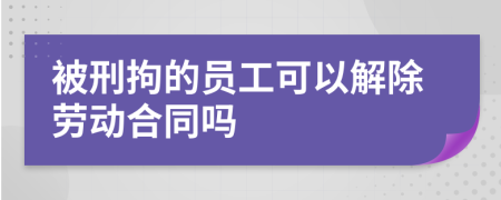 被刑拘的员工可以解除劳动合同吗