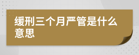 缓刑三个月严管是什么意思
