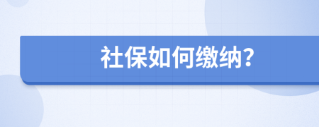 社保如何缴纳？