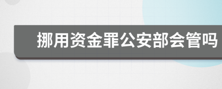 挪用资金罪公安部会管吗