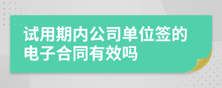 试用期内公司单位签的电子合同有效吗