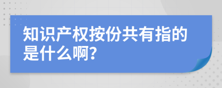 知识产权按份共有指的是什么啊？