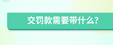 交罚款需要带什么？