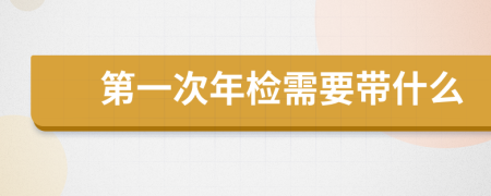 第一次年检需要带什么