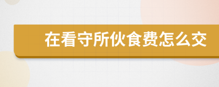 在看守所伙食费怎么交