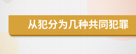 从犯分为几种共同犯罪