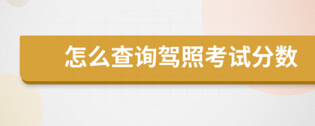 怎么查询驾照考试分数