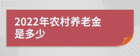 2022年农村养老金是多少