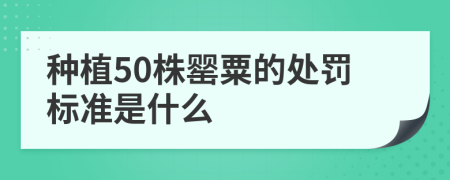 种植50株罂粟的处罚标准是什么