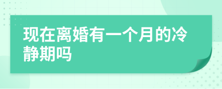 现在离婚有一个月的冷静期吗