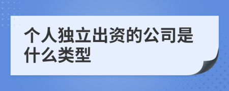 个人独立出资的公司是什么类型