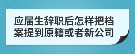 应届生辞职后怎样把档案提到原籍或者新公司