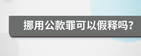 挪用公款罪可以假释吗？