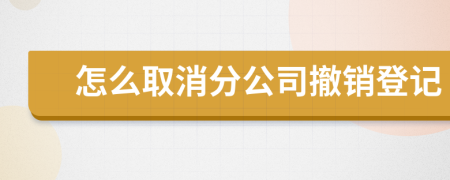 怎么取消分公司撤销登记