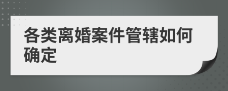 各类离婚案件管辖如何确定