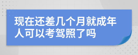 现在还差几个月就成年人可以考驾照了吗