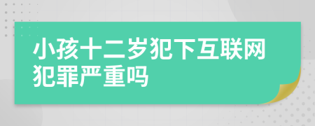 小孩十二岁犯下互联网犯罪严重吗