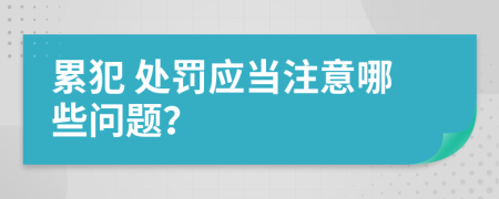  累犯 处罚应当注意哪些问题？